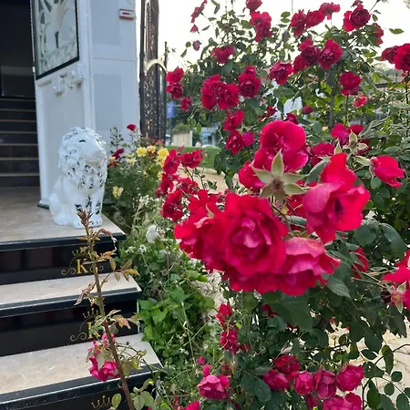 Bed and Breakfast Kumbag Otel *